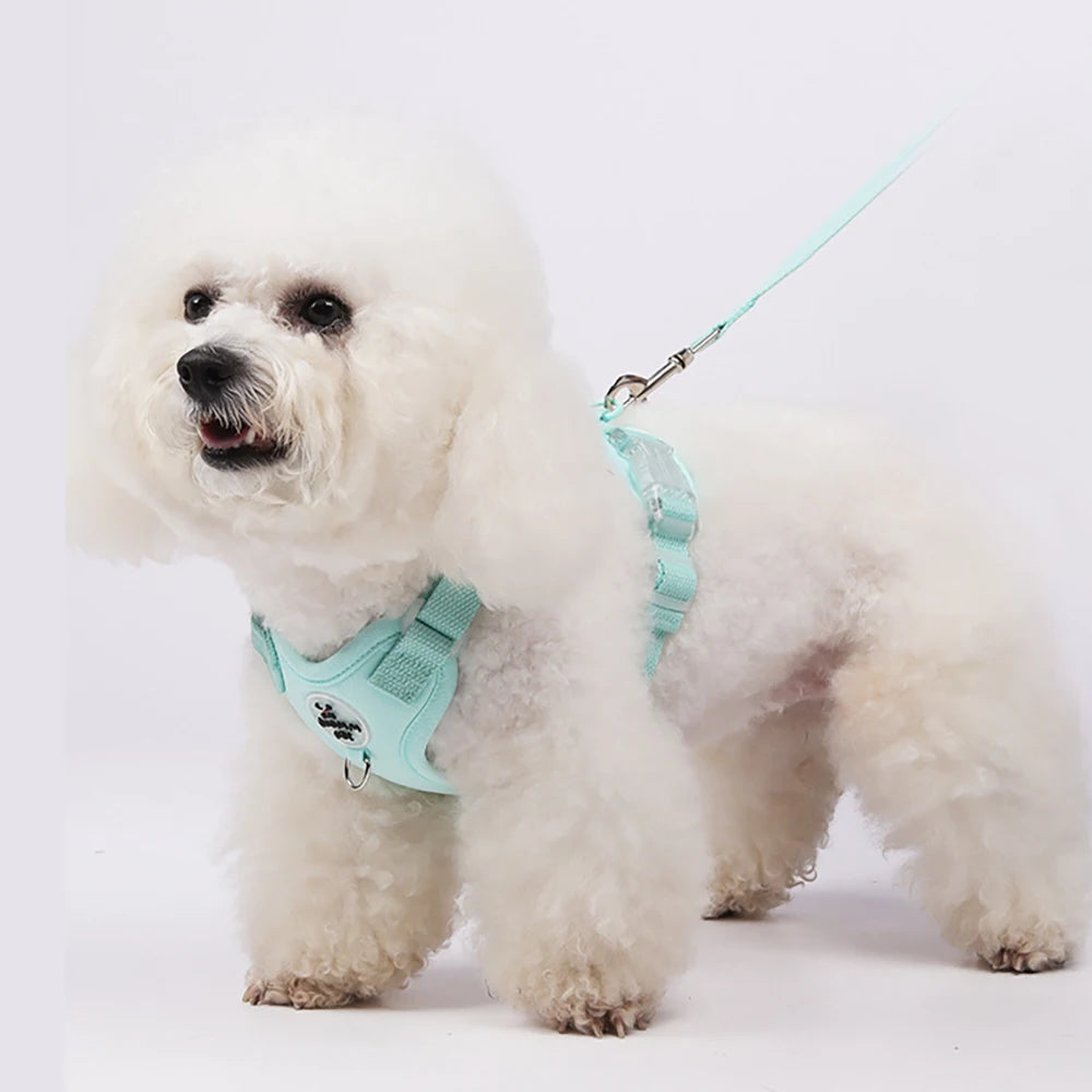 Pastel Dog Harness Leash Set- Soft Macaron Color No-Pull Vest for Small Medium Dogs - Cute Adjustable Pet Leash Set