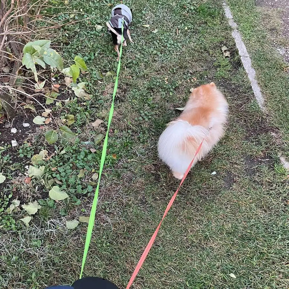 Auto Retractable Double-Ended Dog Leash 3m with LED Flashlight Waste Bag Box Roulette 360 Degree Dual Traction Rope Pet Supplies