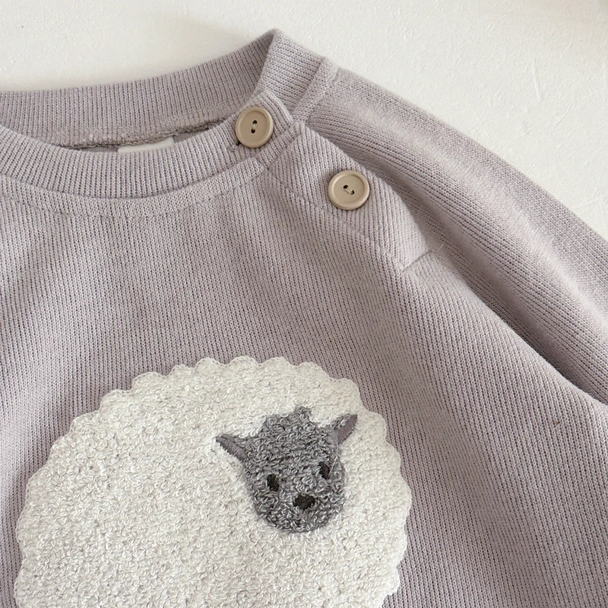 Autumn Toddler Baby Girls Outfit Lamb Embroidery Long Sleeve Sweatshirt Elastic Waist Pants Spring Sets Baby Boy Clothes