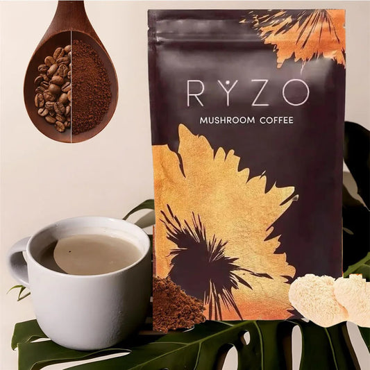 Organic Mushroom Coffee with 6 Types Adaptogenic Mushrooms MCT Oil Daily Brewing Use Smooth Flavor Beverage health support