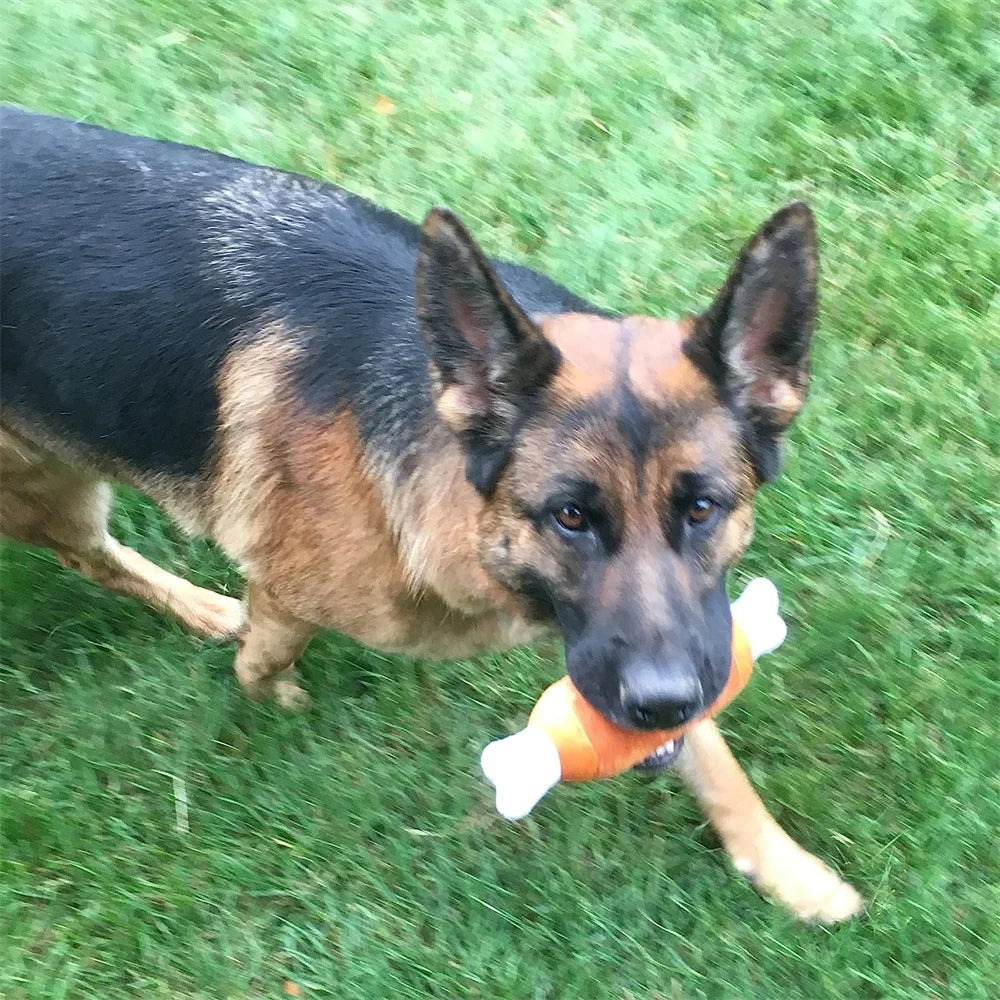 Pet Dog Toys Plush Chew Toy Soft Banana Bone Vegetable Fruit Squeaky Puppy Training Interactive Toy Bite-Resistant Pet Supplies