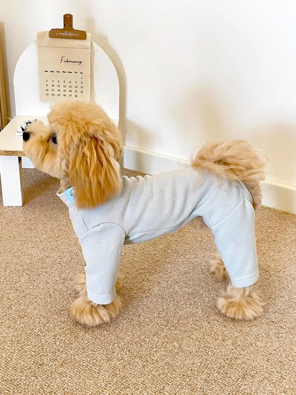 Elastic Pet Jumpsuit Four Legged Pants For Small Medium Dogs Cream Color Cozy Home Base Shirt Winter Warm Dog Clothes